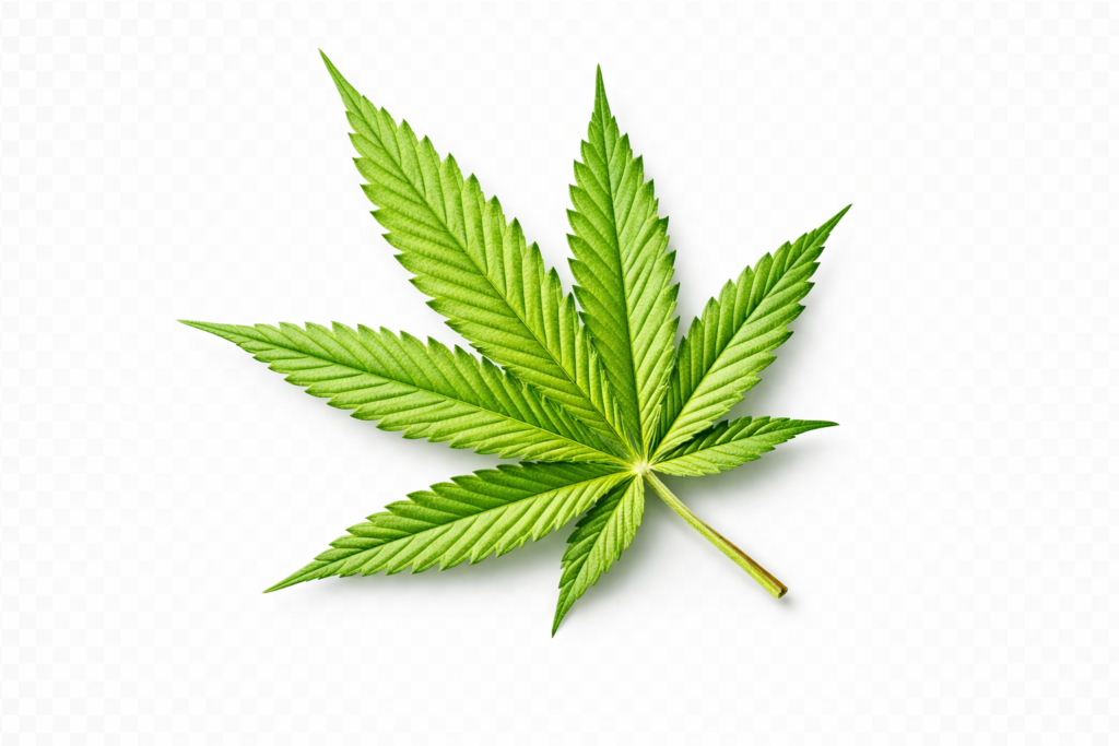 chatgpt image 2026年1月27日 04 35 52