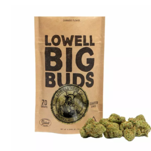 kidney beans organic